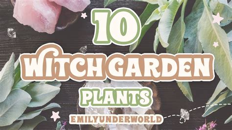 Delving into the Mysterious World of Witch Gardens